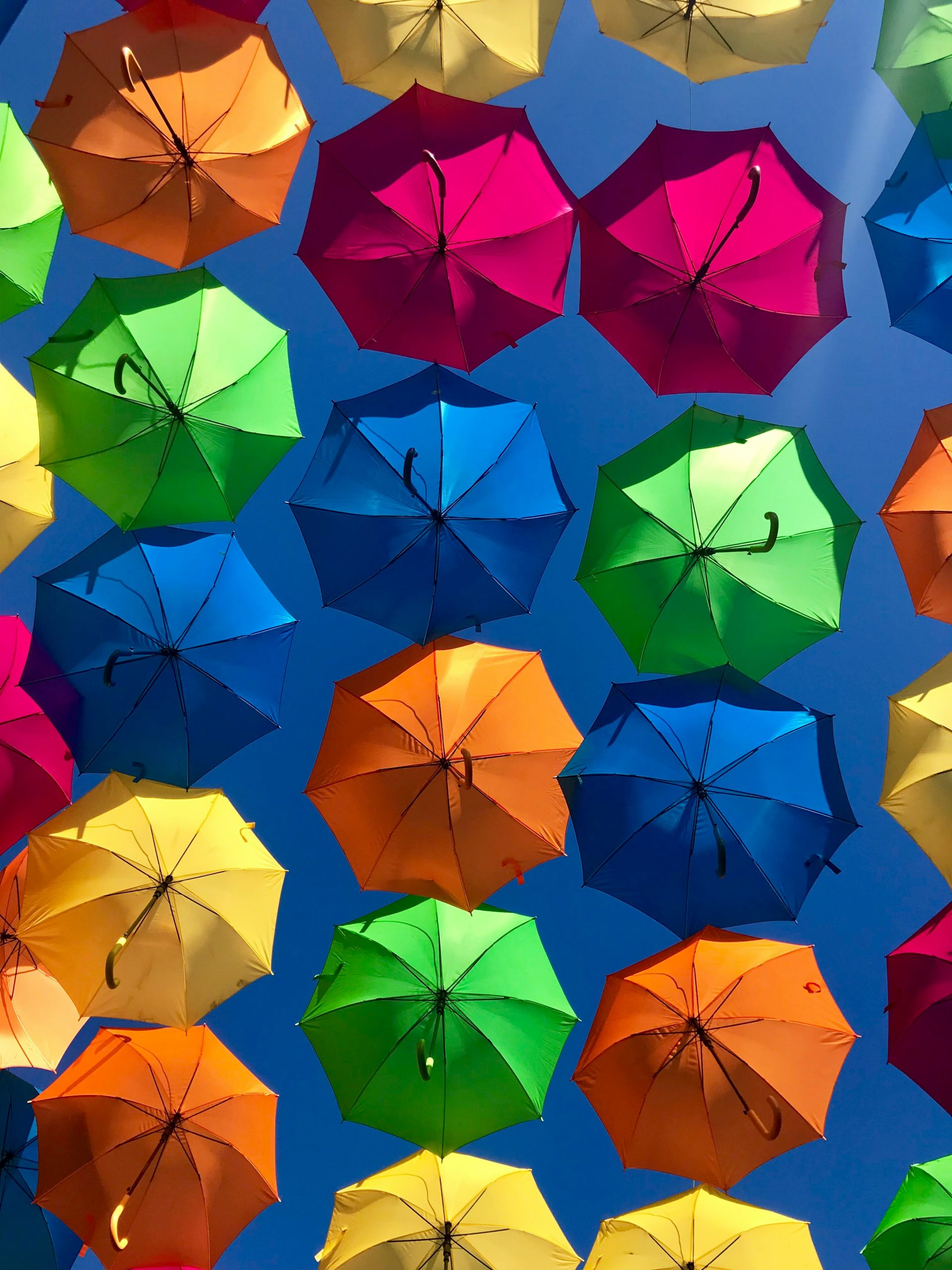 Bunte Regenschirme als Beispiel für den Farbe-an-sich-Kontrast